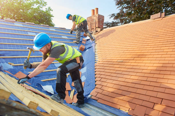 Best Sheet Metal Roofing  in Avimor, ID